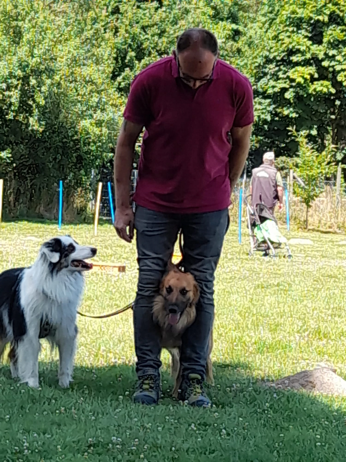 Hund